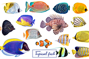 Tropical exotic fishes