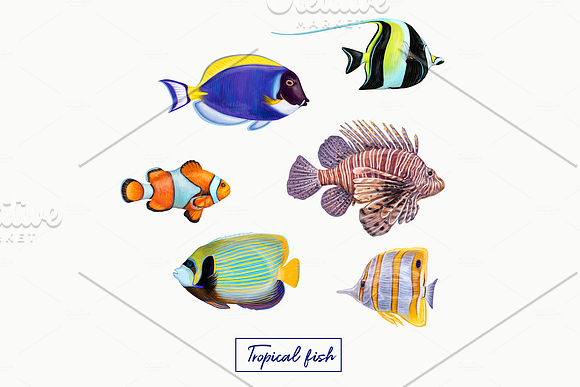 Tropical exotic fishes in Illustrations - product preview 2