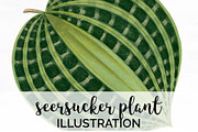 Plant Green Seersucker Leaf Vintage