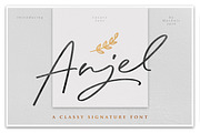 Anjel // Classy Signature Font
