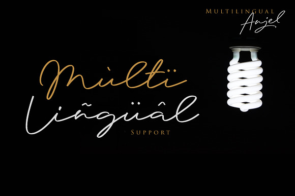 Anjel // Classy Signature Font in Signature Fonts - product preview 13