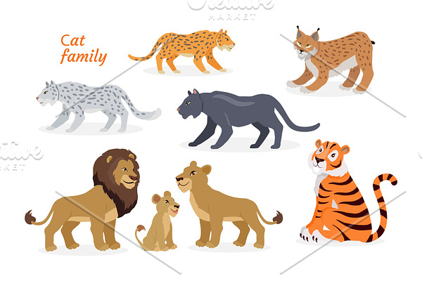 Cat family. Felidae. Pantherinae