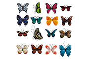 Butterfly icons set, cartoon style