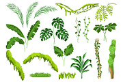 Set of jungle plants.