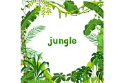 Background with jungle plants.