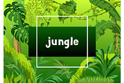 Background with jungle plants.