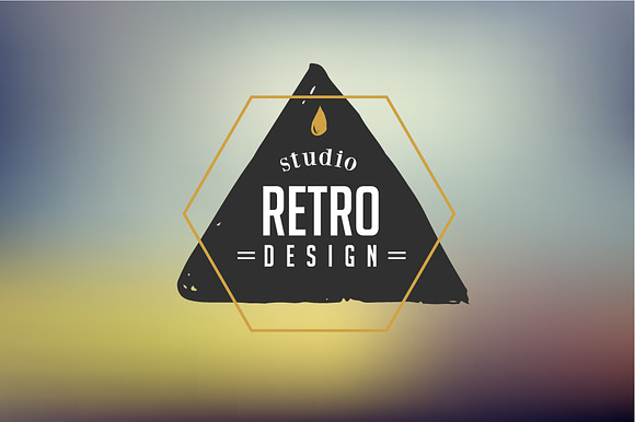 9 Vintage Logo designs in Logo Templates - product preview 4