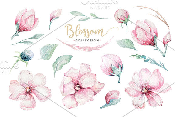 Spring blossom collection in Illustrations - product preview 1