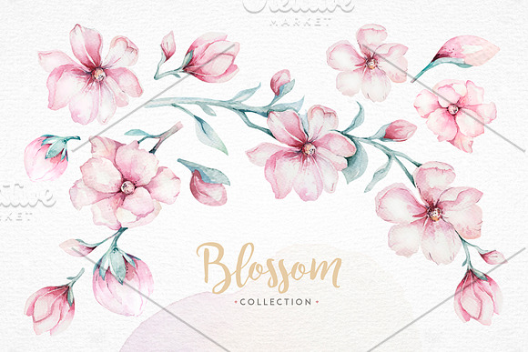 Spring blossom collection in Illustrations - product preview 2