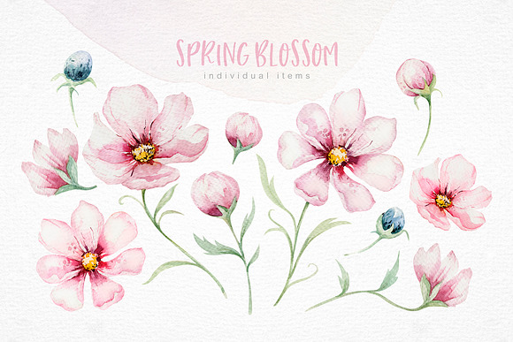Spring blossom collection in Illustrations - product preview 3
