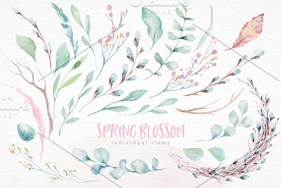 Spring blossom collection in Illustrations - product preview 4
