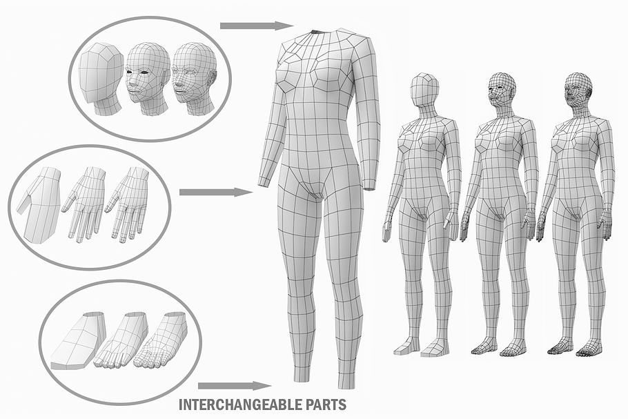 Female Base Mesh Natural Proportions in People - product preview 3