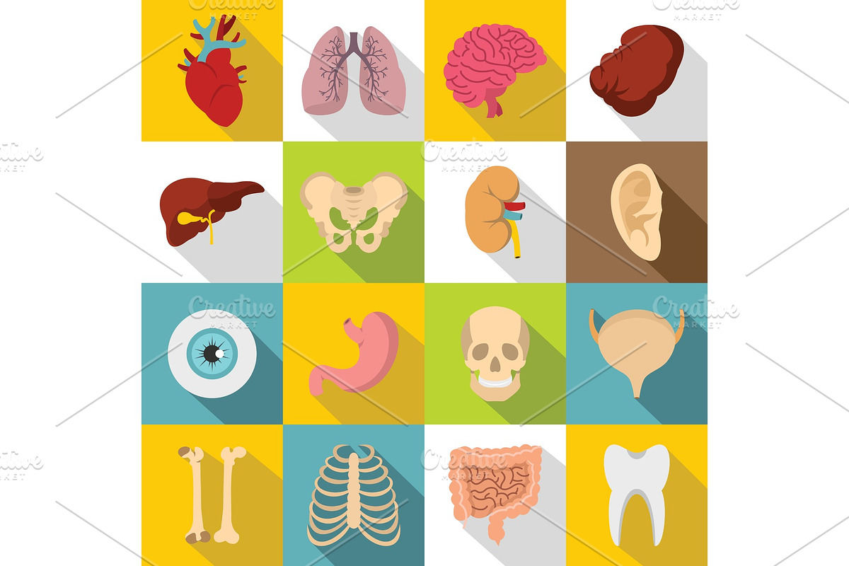 Human organs icons set, flat style in Objects - product preview 8