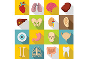 Human organs icons set, flat style
