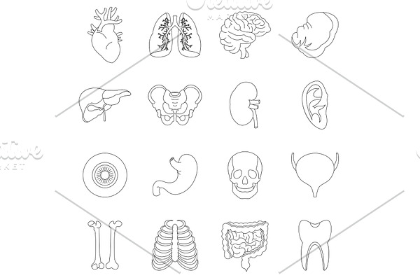 Human organs icons set, outline