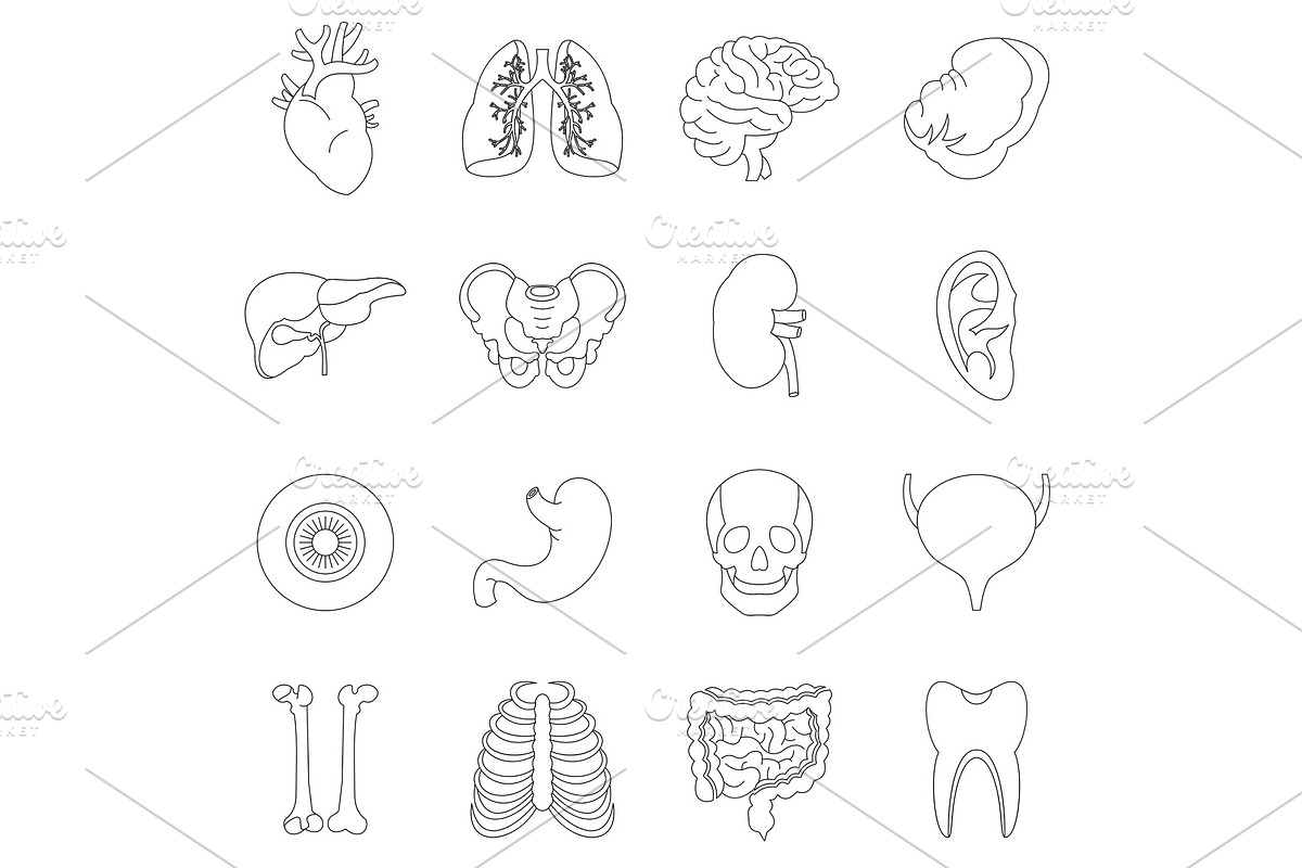 Human organs icons set, outline in Objects - product preview 8