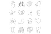 Human organs icons set, outline