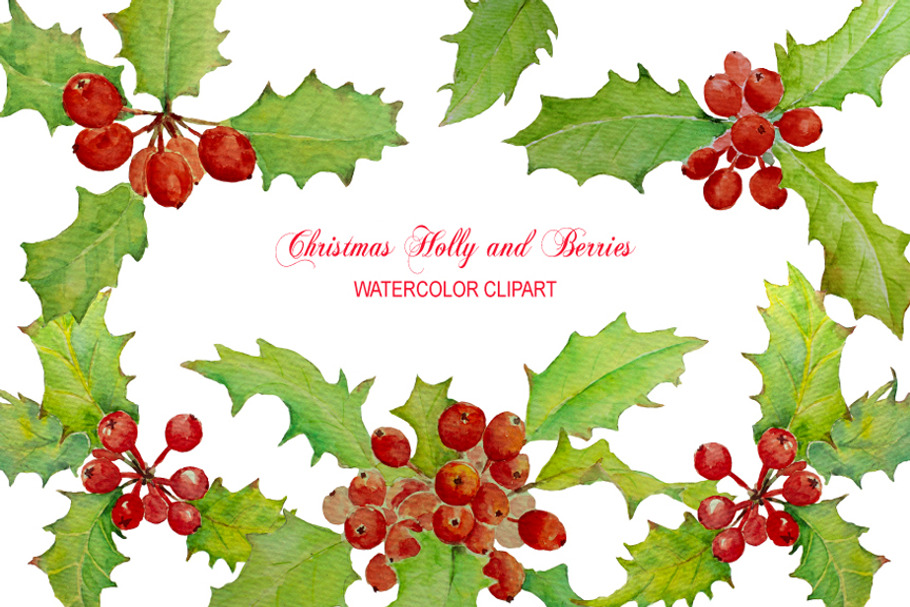Watercolor Christmas Holly Berry
