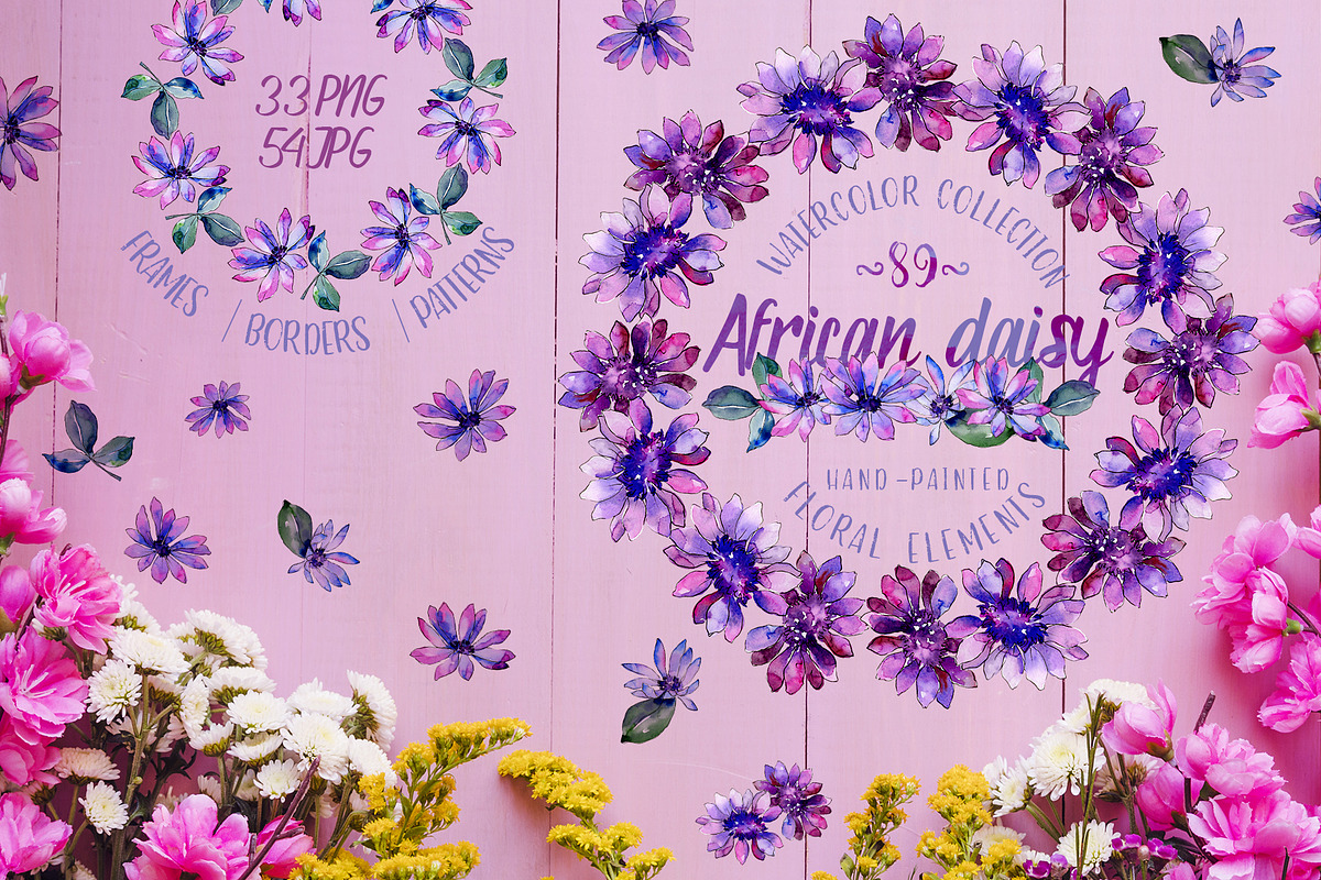 African daisy Watercolor png in Illustrations - product preview 8