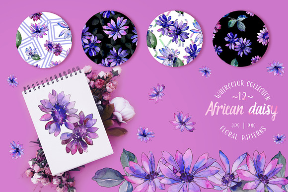African daisy Watercolor png in Illustrations - product preview 2