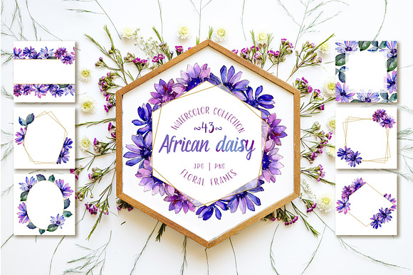 African daisy Watercolor png in Illustrations - product preview 5