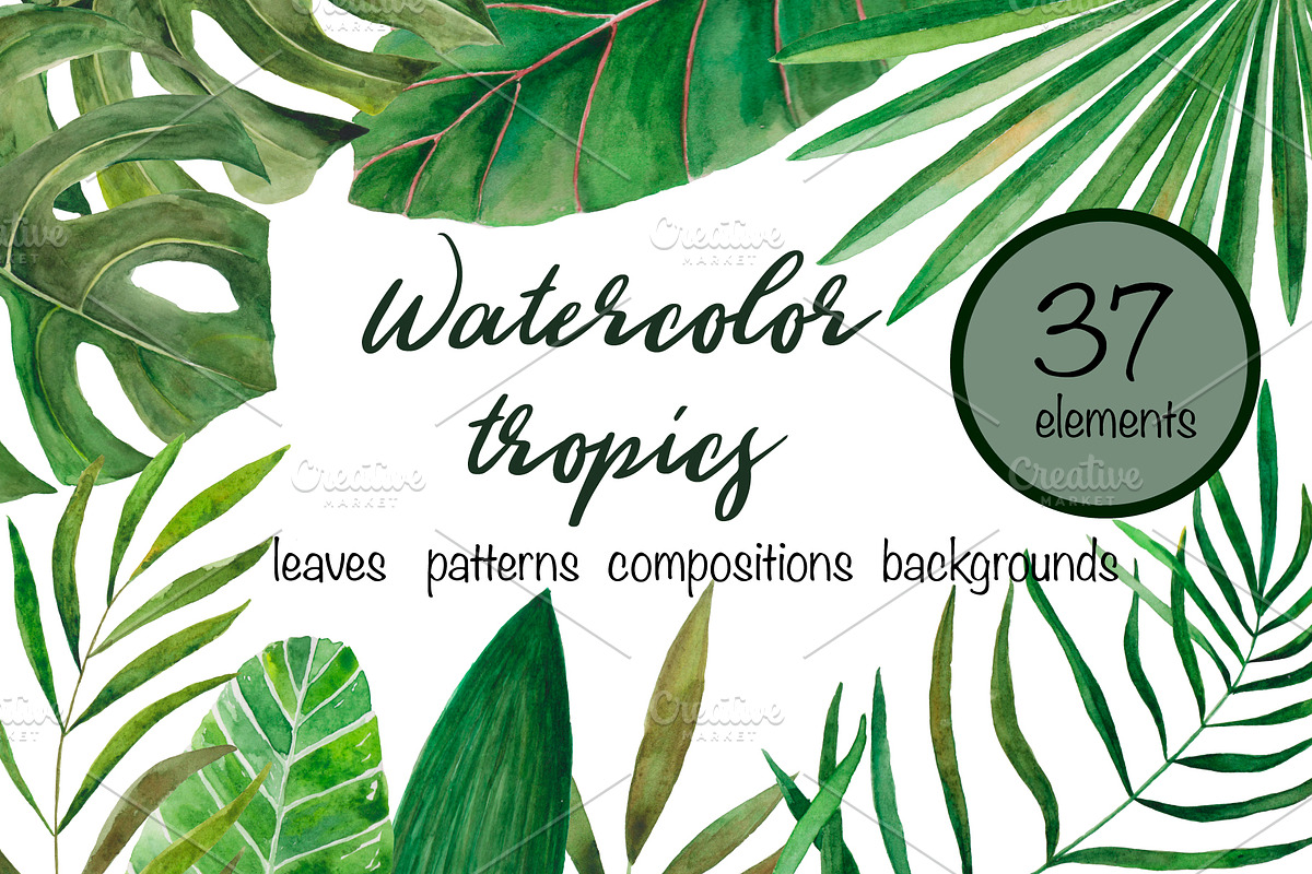Amazonia. Tropical leaves in Illustrations - product preview 8