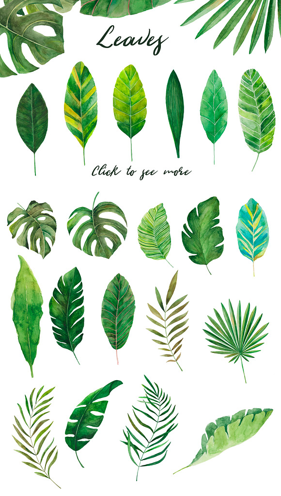 Amazonia. Tropical leaves in Illustrations - product preview 1