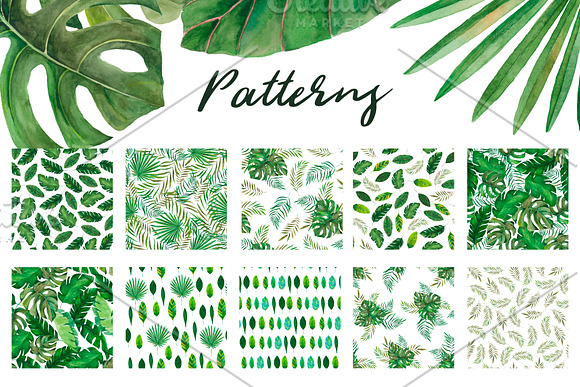 Amazonia. Tropical leaves in Illustrations - product preview 3