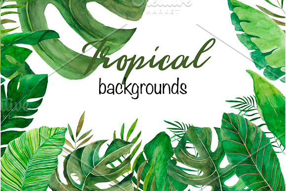 Amazonia. Tropical leaves in Illustrations - product preview 5