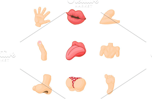 Outer part of body icons set