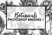 Botanical Photoshop Brushes 1