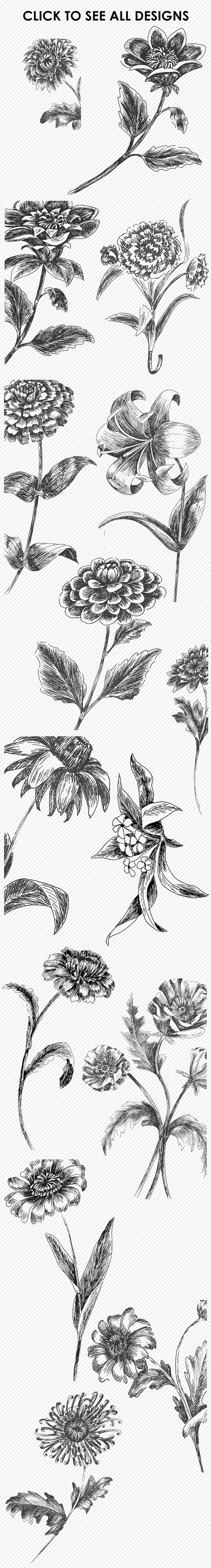 Botanical Photoshop Brushes 1 in Photoshop Brushes - product preview 1