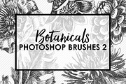 Botanical Photoshop Brushes 2