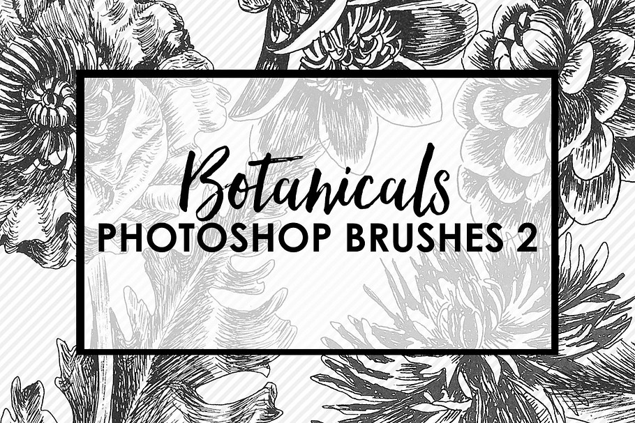 Botanical Photoshop Brushes 2 in Photoshop Brushes - product preview 8