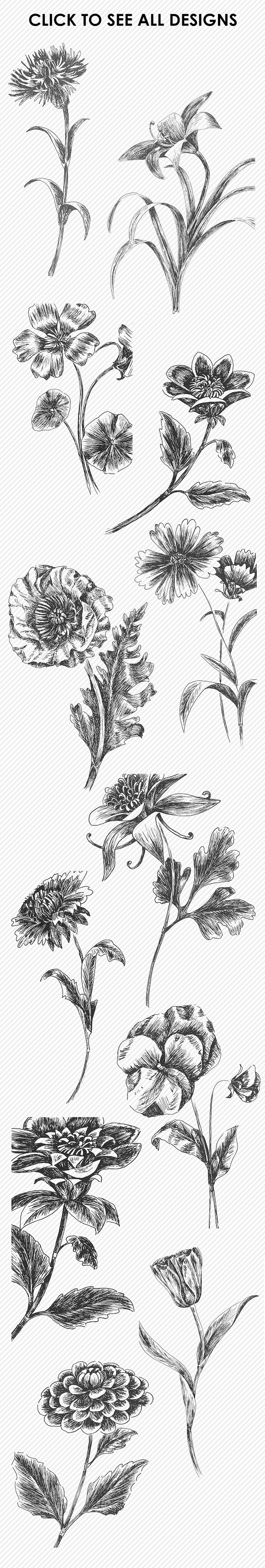 Botanical Photoshop Brushes 2 in Photoshop Brushes - product preview 1