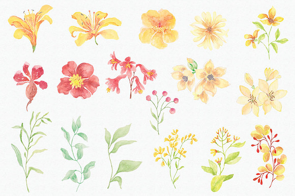 Sunny Flowers:watercolor mini-bundle in Illustrations - product preview 5