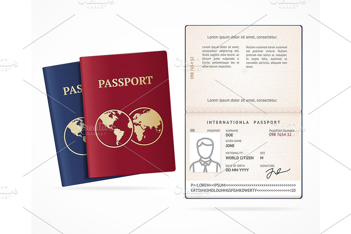 International Passport Blank Set.  in Objects - product preview 8