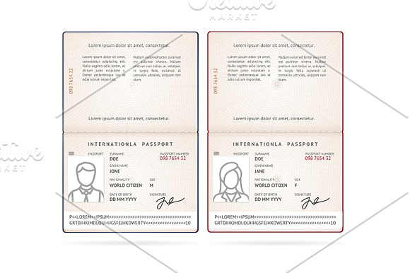 International Passport Blank Set.  in Objects - product preview 2