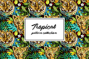 Tropical pattern collection