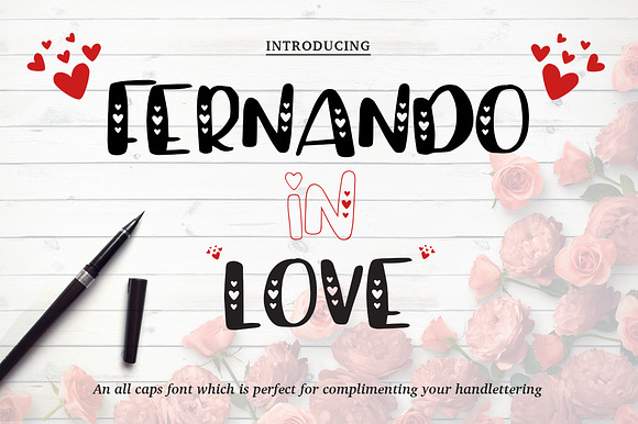 Valentine's Font Bundle + Extras! in Script Fonts - product preview 2