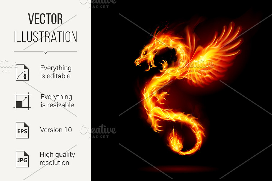 Fire Dragon in Graphics - product preview 8
