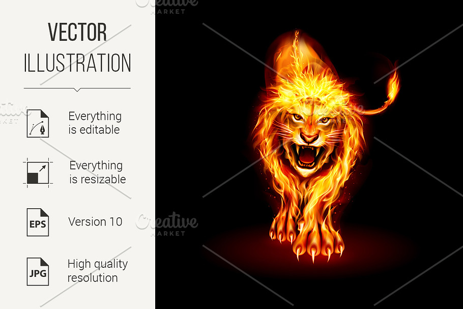 Fire Lion in Graphics - product preview 8