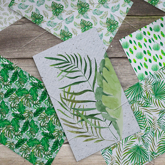 Amazonia. Tropical leaves in Illustrations - product preview 7