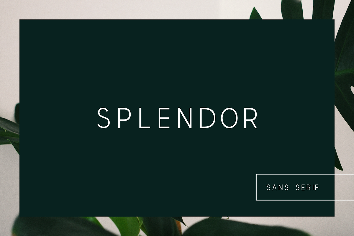SPLENDOR - modern display font in Display Fonts - product preview 8