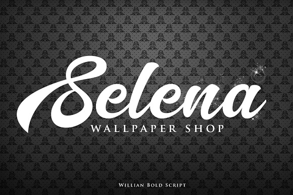 Willian - Elegant Bold Script in Script Fonts - product preview 4