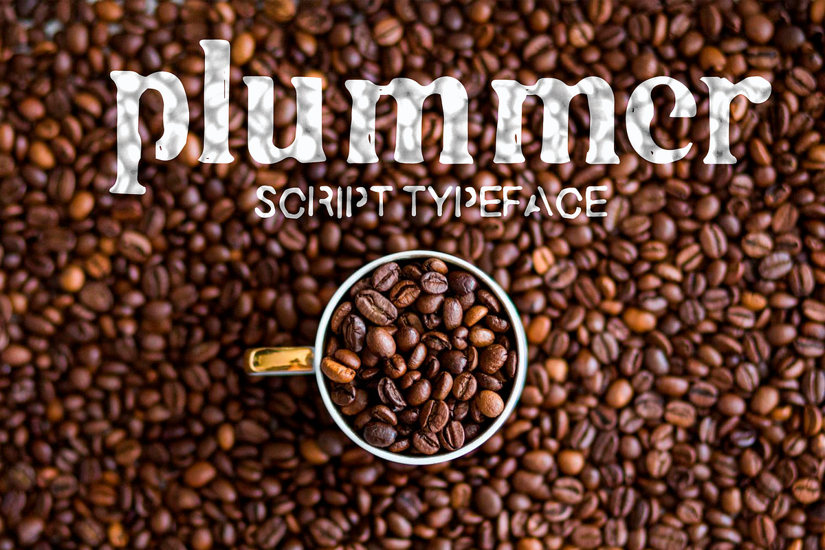 Plummer Script Typeface in Display Fonts - product preview 8
