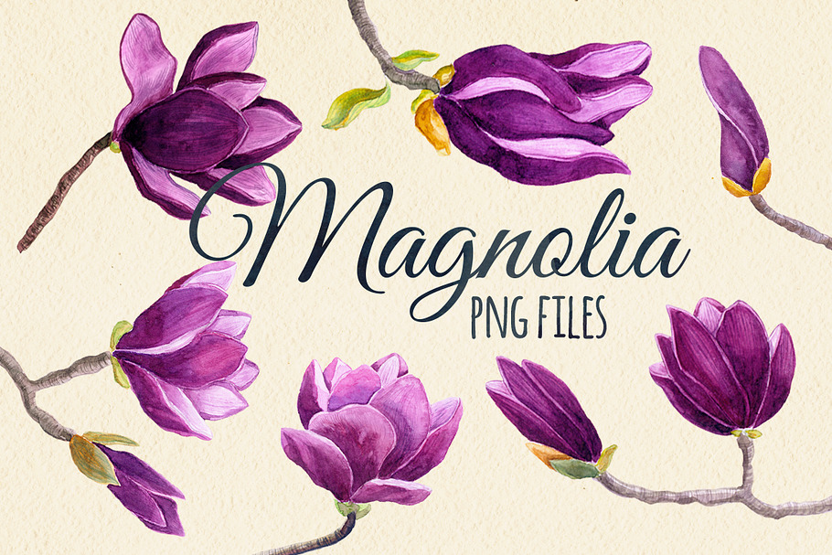 Watercolor magnolia flower set in Objects - product preview 8
