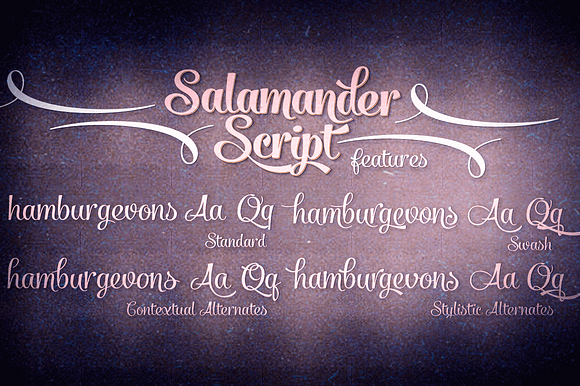 Salamander Script in Script Fonts - product preview 1