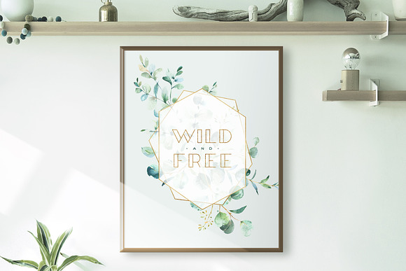 Eucalyptus. Watercolor Collection in Illustrations - product preview 3