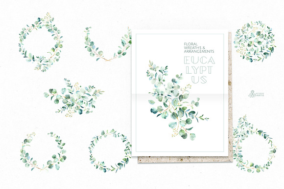 Eucalyptus. Watercolor Collection in Illustrations - product preview 10